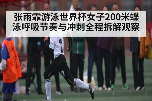 张雨霏游泳世界杯女子200米蝶泳呼吸节奏与冲刺全程拆解观察